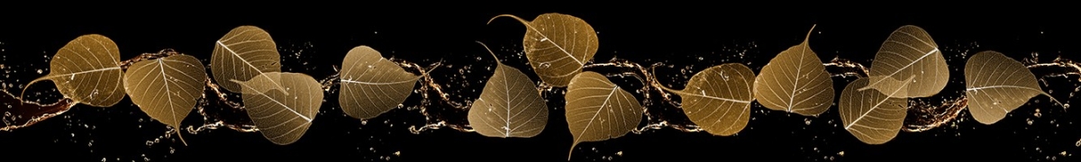 ArtSkinali-2157