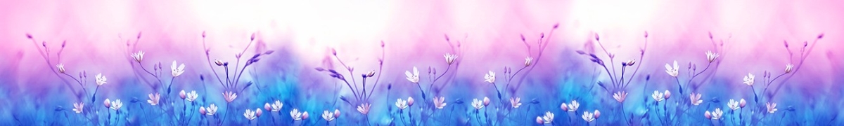 ArtSkinali-2209