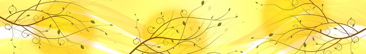 ArtSkinali-2517