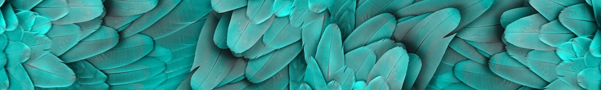 ArtSkinali-3003