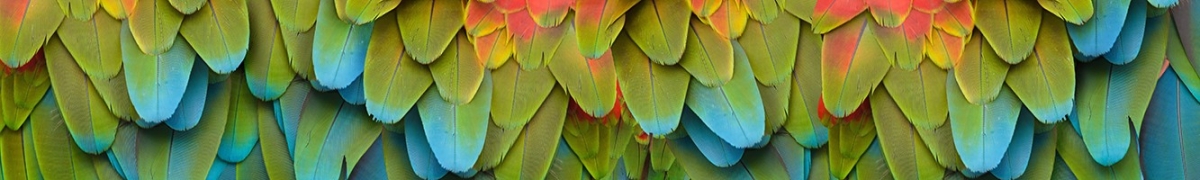 ArtSkinali-3024