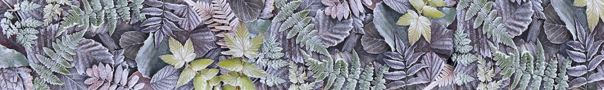ArtSkinali-3076