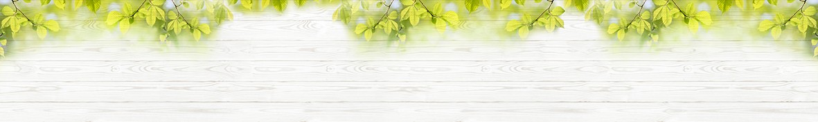 ArtSkinali-3266