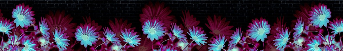 ArtSkinali-3429