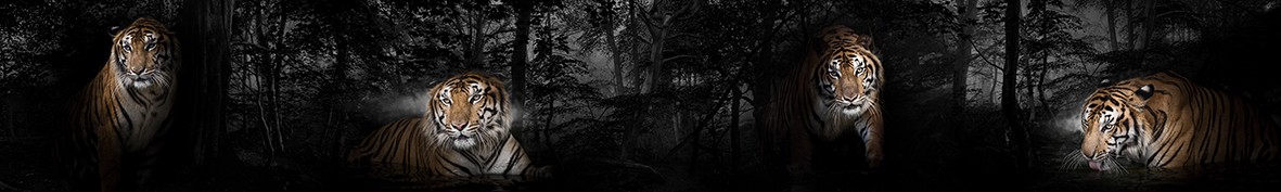 ArtSkinali-3583