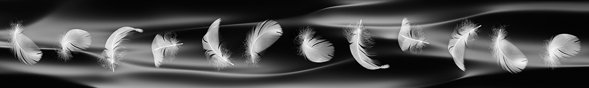 ArtSkinali-3987