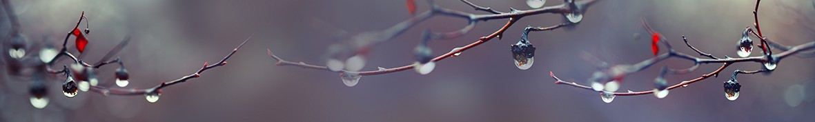 ArtSkinali-4212