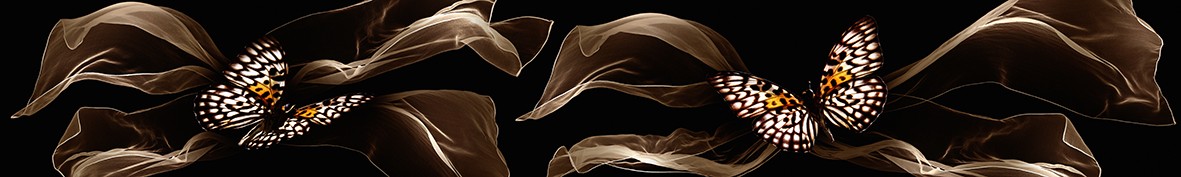 ArtSkinali-4558