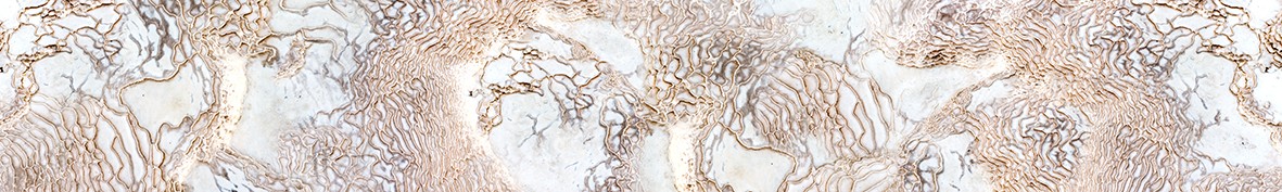 ArtSkinali-4734
