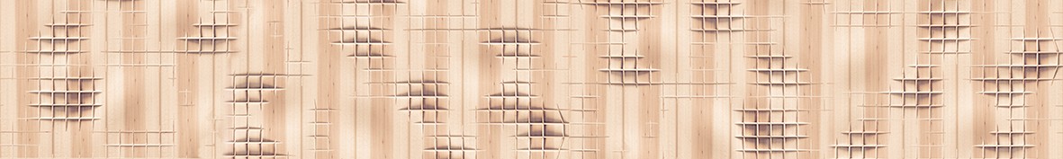ArtSkinali-5341