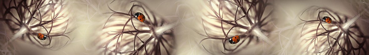 ArtSkinali-6231
