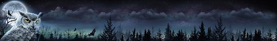 ArtSkinali-6468