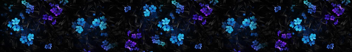 ArtSkinali-6595