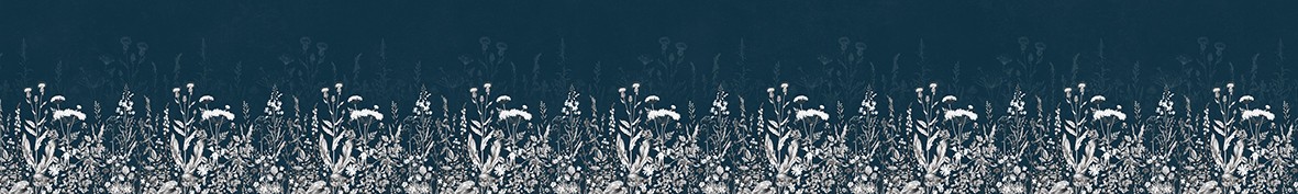 ArtSkinali-6738
