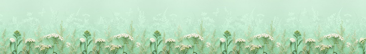 ArtSkinali-6872