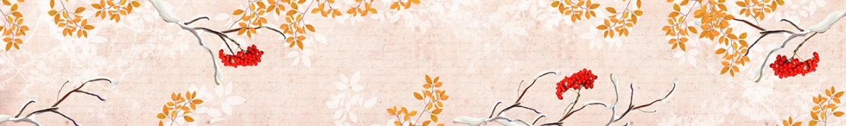 ArtSkinali-689