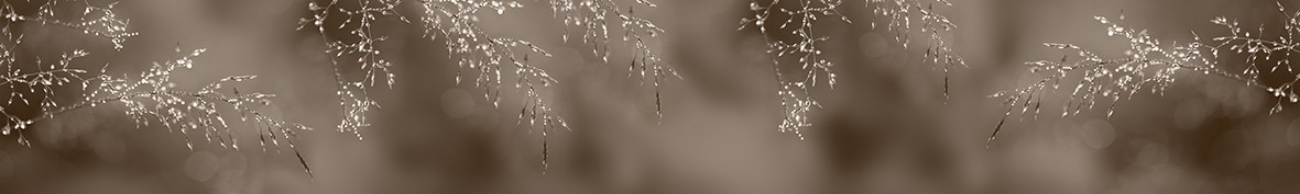 ArtSkinali-6895