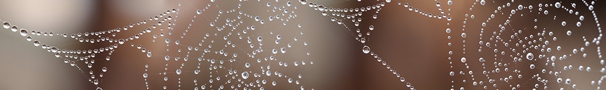 ArtSkinali-6900