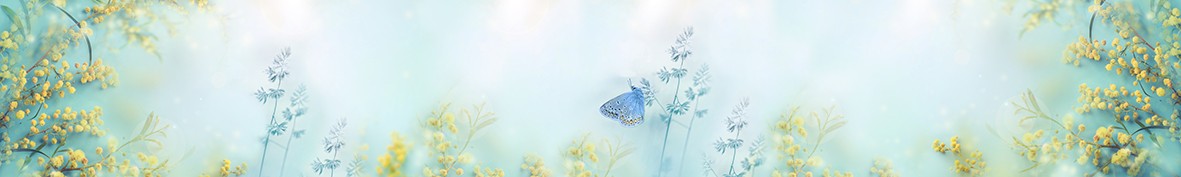 ArtSkinali-6946
