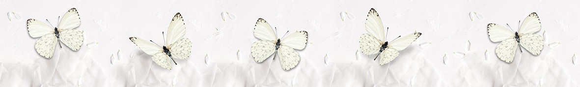 Artskinali-5776