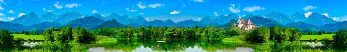 ArtSkinali-2643