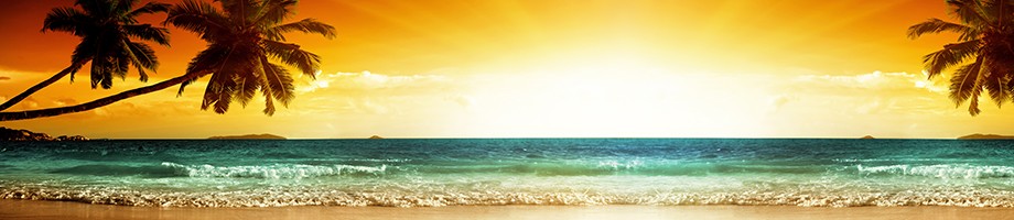 ArtSkinali-2654