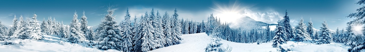 ArtSkinali-2784
