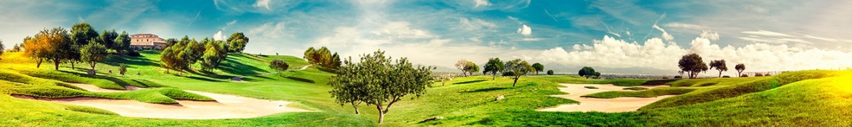 ArtSkinali-2856