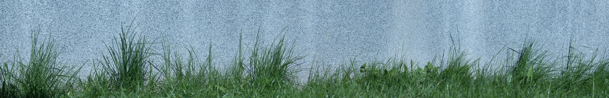 ArtSkinali-3216