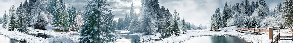 ArtSkinali-3290