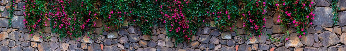 ArtSkinali-3498