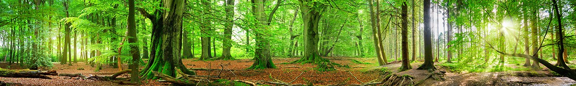 ArtSkinali-4345
