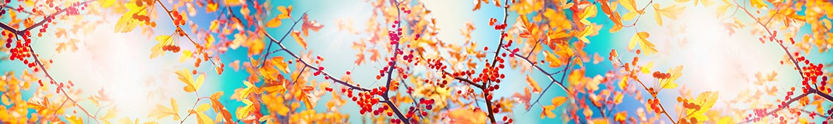 ArtSkinali-5868