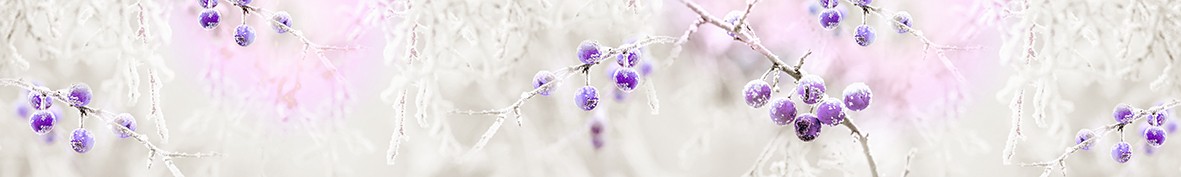 ArtSkinali-5941