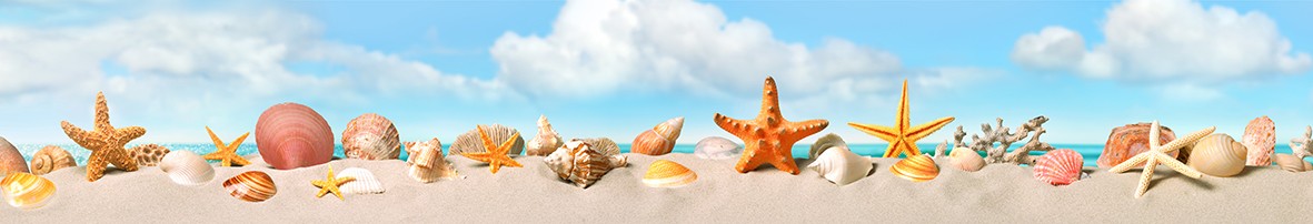 ArtSkinali-6391