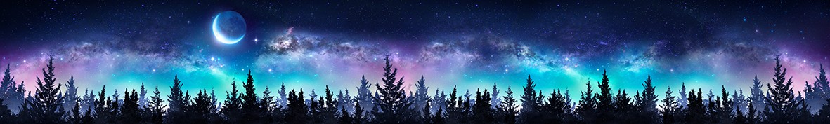 ArtSkinali-6411