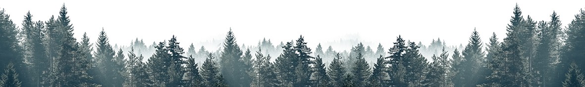 ArtSkinali-6568