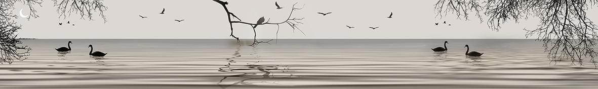 ArtSkinali-6578