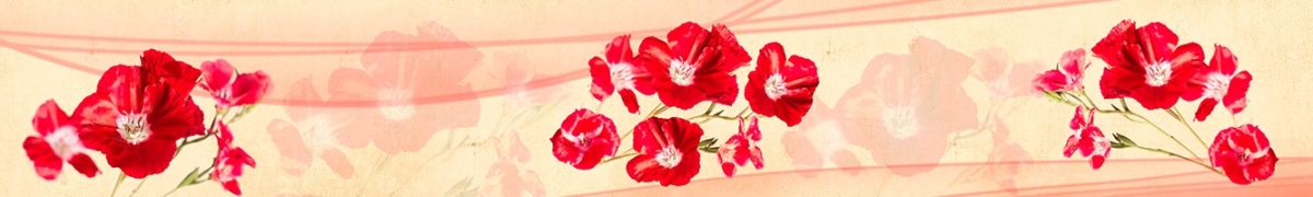 ArtSkinali-1966