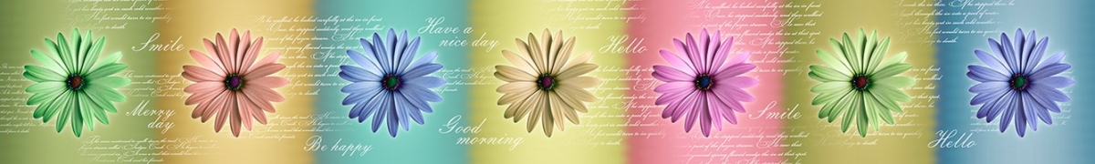 ArtSkinali-2118