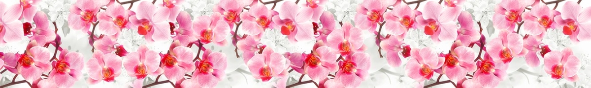 ArtSkinali-2120