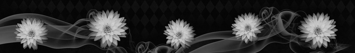 ArtSkinali-2135