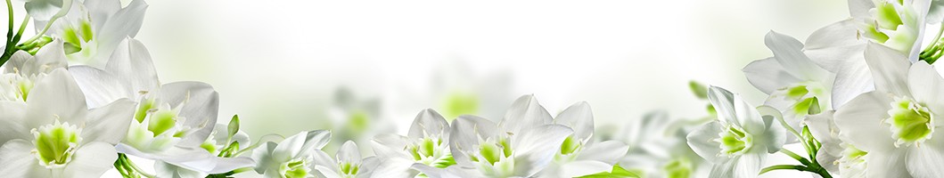 ArtSkinali-2147