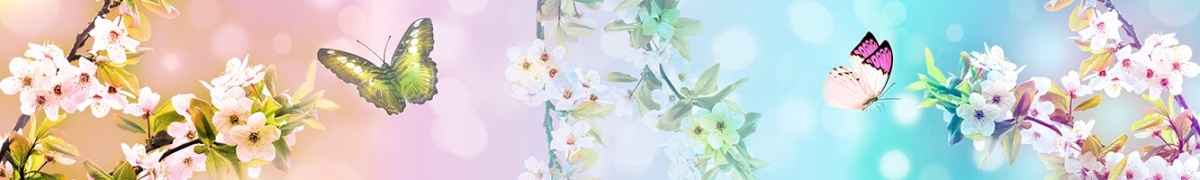 ArtSkinali-2258