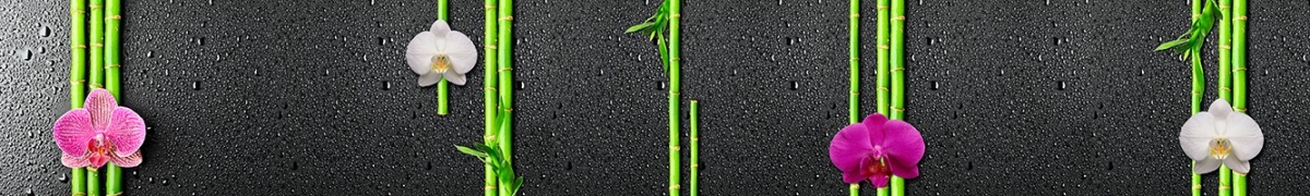 ArtSkinali-2311