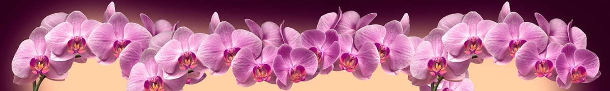 ArtSkinali-2367