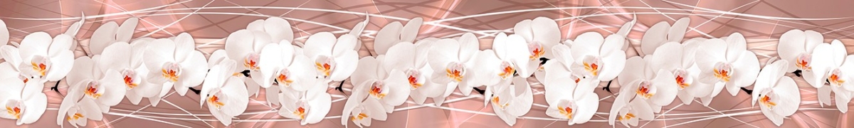 ArtSkinali-2464