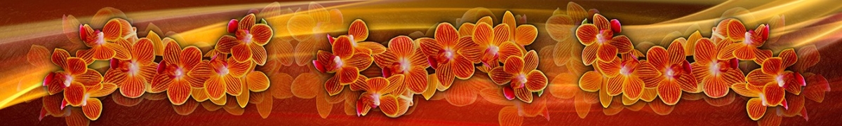 ArtSkinali-2481