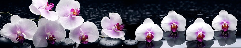 ArtSkinali-251