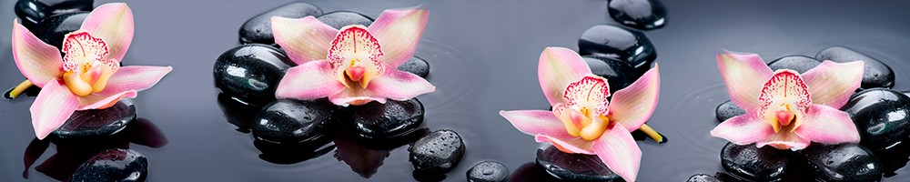 ArtSkinali-254